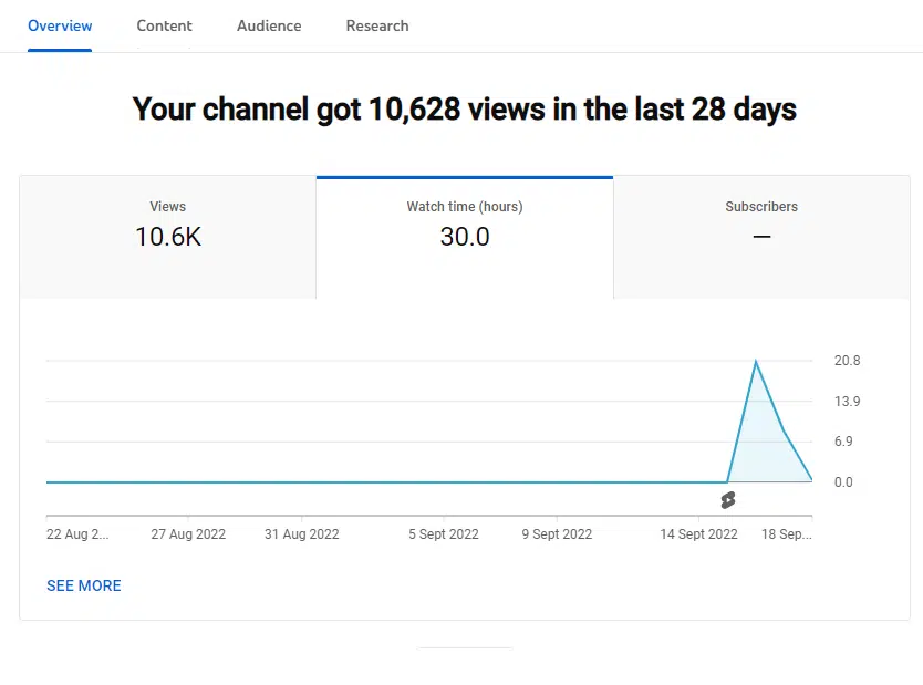 The graph of watch time reporting from your YouTube channel.